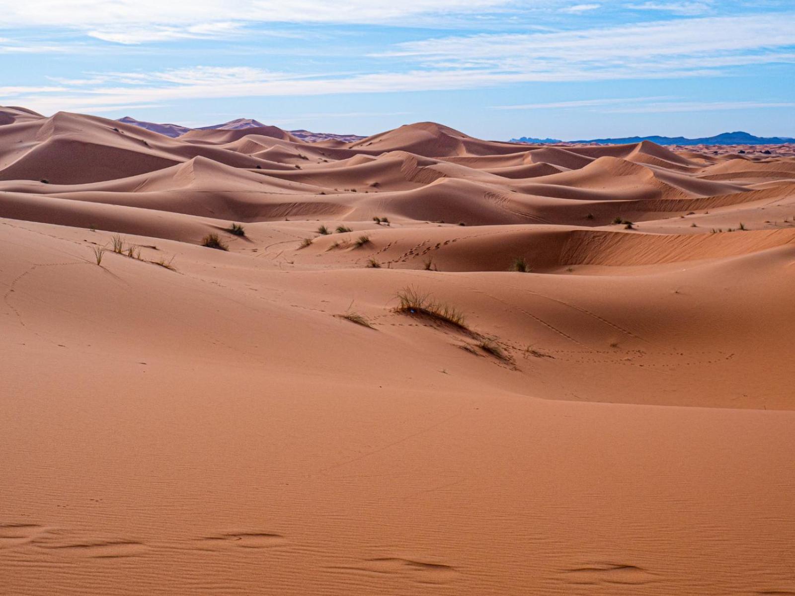 Maison Merzouga Guest House Экстерьер фото